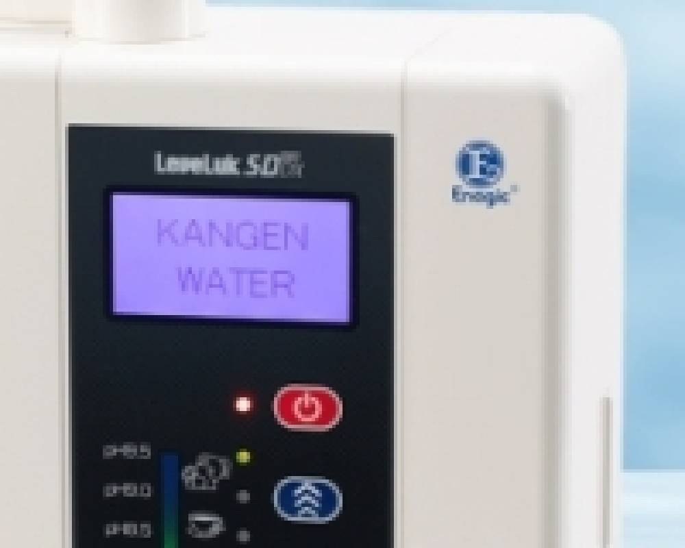 Máy lọc nước LeveLuk SD501DX 