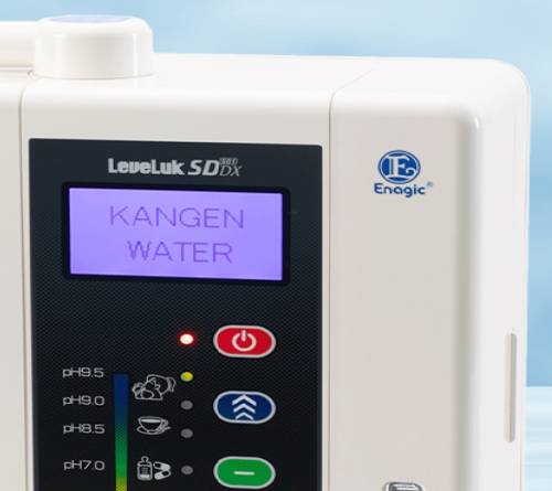 Máy lọc nước LeveLuk SD501DX 